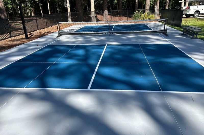 Pickleball court in dappled shade from the sideline