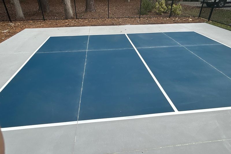 Pickleball court from the corner showing the kitchen line