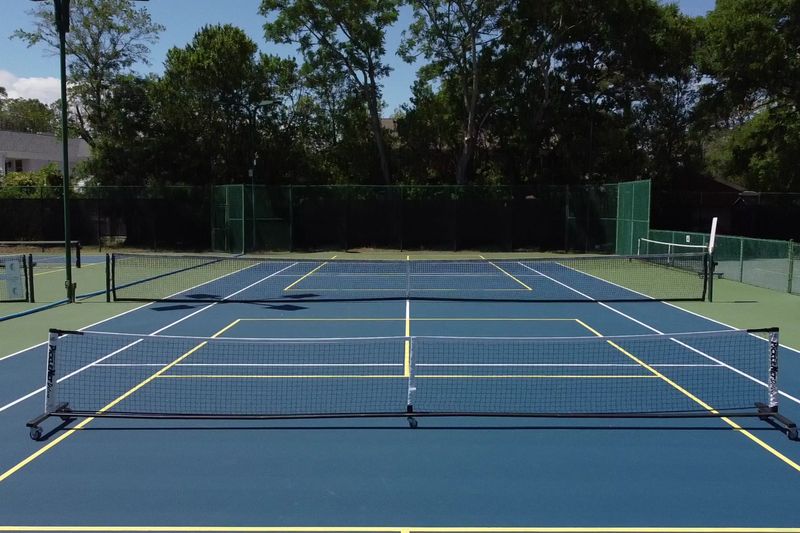 Net-level view of a resurfaced court with fresh white and yellow lines